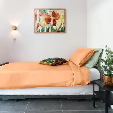 Met De Krul * Amsterdam