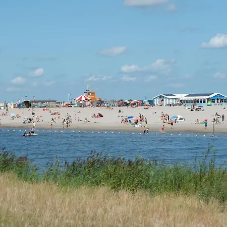 Met De Krul * אמסטרדם