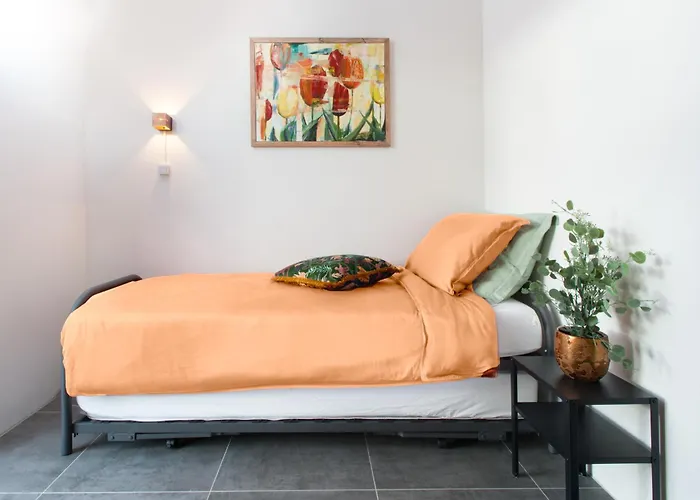 Met De Krul * 암스테르담