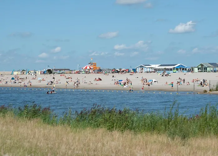 Met De Krul * 암스테르담